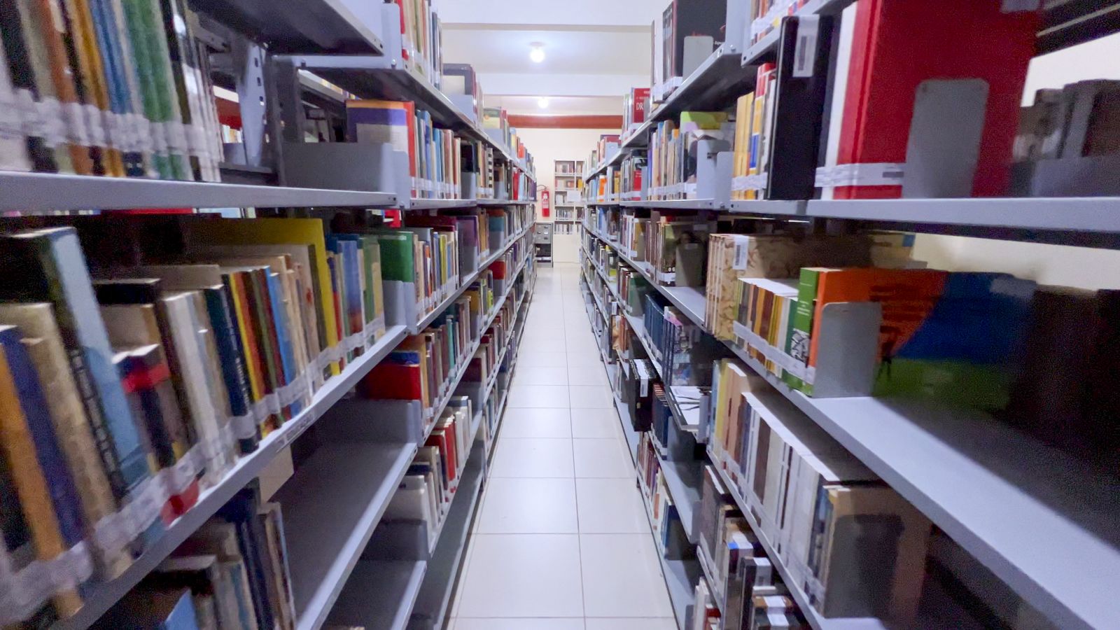 A biblioteca conta com um acervo de mais de 60 mil exemplares