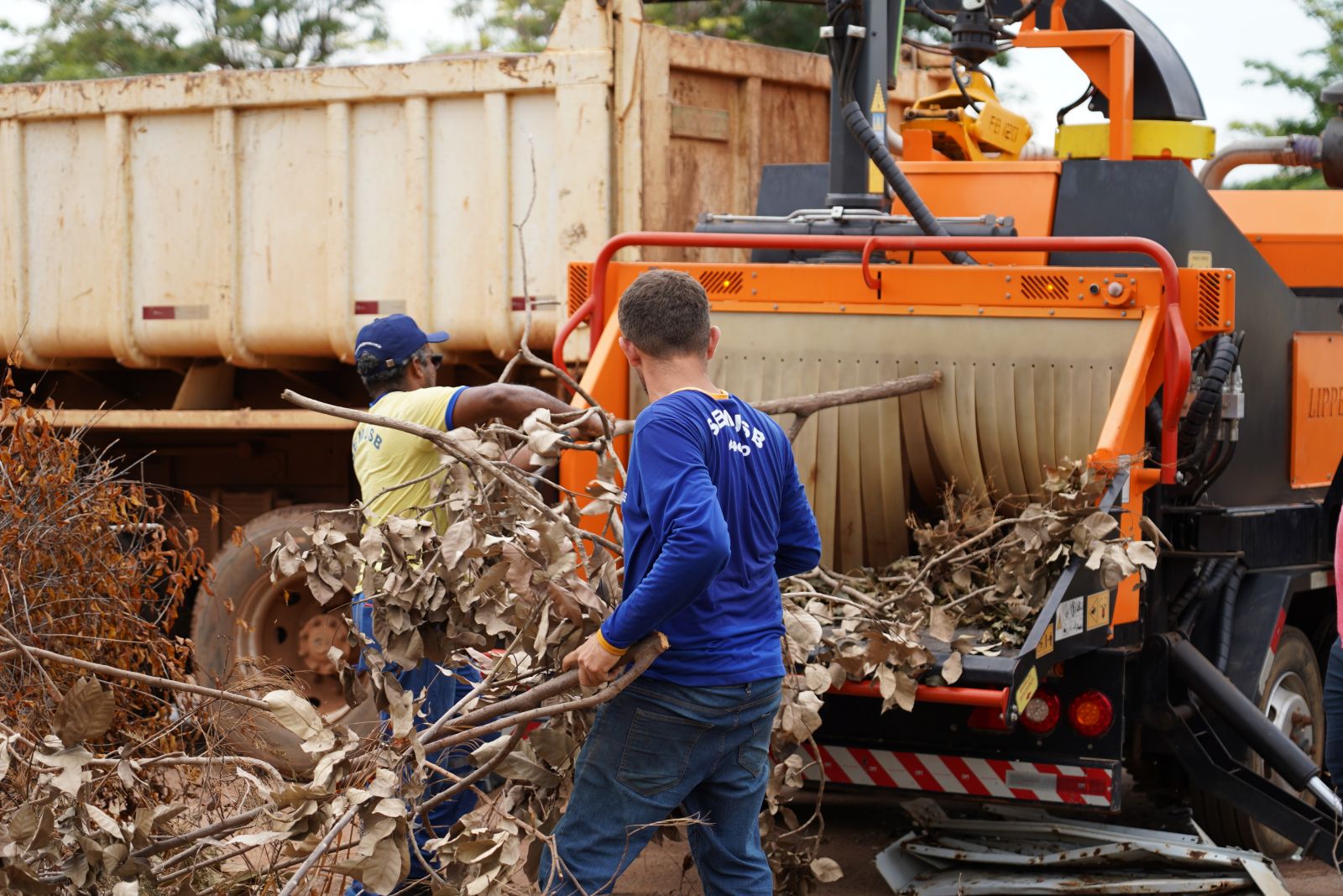 Restos das podas de árvores passam a ser transformados em adubo natural