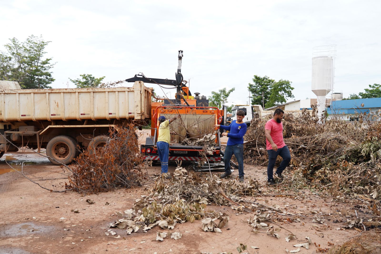 Equipamento tem capacidade para processar árvores inteiras