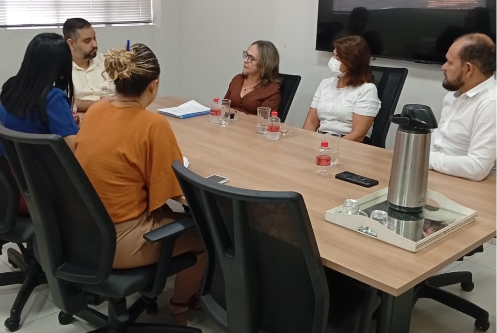 Encontro teve como foco o alinhamento para a continuidade da execução do projeto