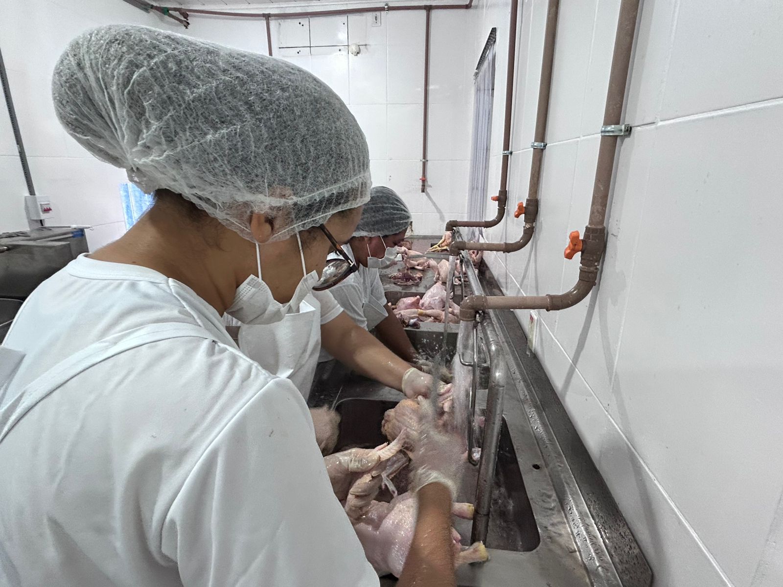 Atualmente, o frigorífico tem capacidade projetada de abate de até 1.150 aves por hora