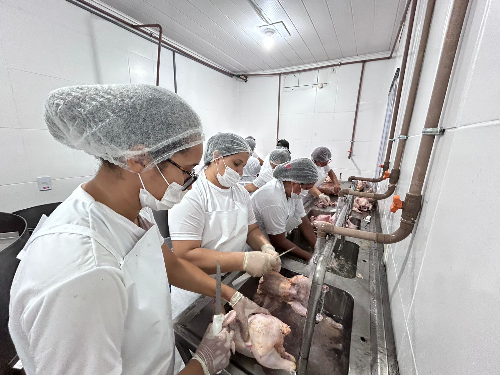 A conquista do certificado do SIM ocorreu após todas as etapas exigidas pela legislação sanitária